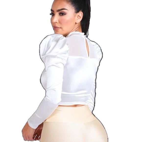 Mesh Contrast Puff Shoulder Satin Top - Picture 4 of 4